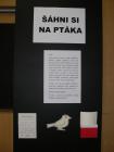 Šáhni si na ptáka